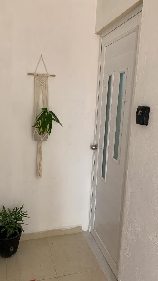 Alcoby Apartment Cancun Bagian luar foto